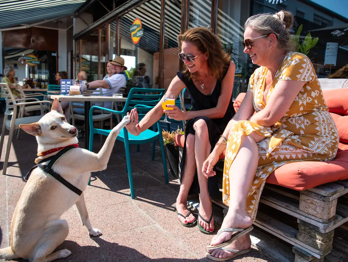 kroeghond Jackson geeft high five aan een bezoekster op het terras van Station Zuid
